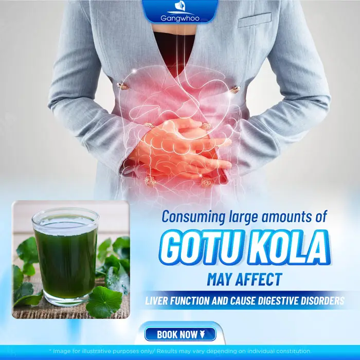 Can You Drink Gotu Kola After Rhinoplasty? Benefits and Risks