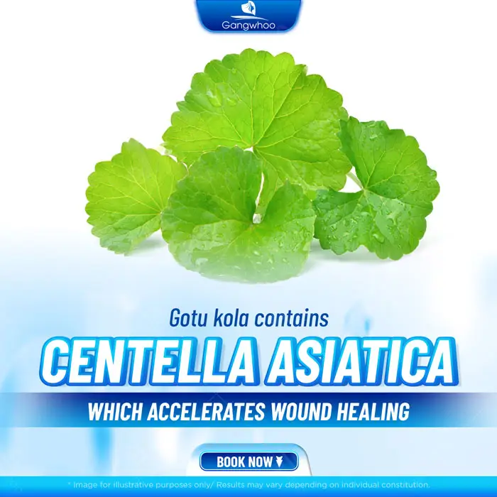 Can You Drink Gotu Kola After Rhinoplasty? Benefits and Risks