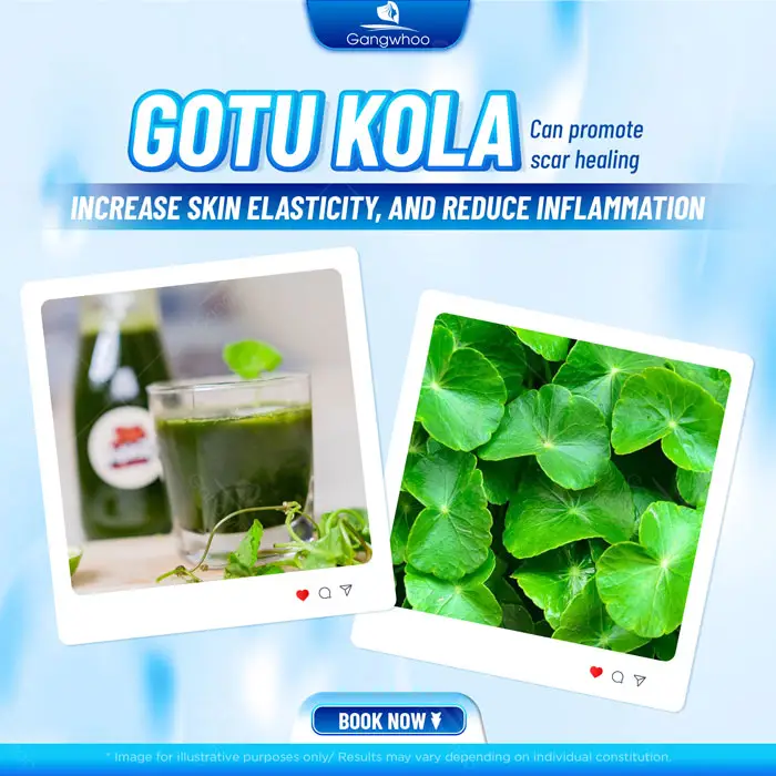 Can You Drink Gotu Kola After Rhinoplasty? Benefits and Risks